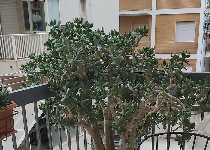 Tilde 住宿加早餐酒店 4*